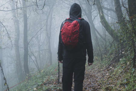 An atmospheric concept. Of a hiker with a rucksack, back to camera. standing in a forest on a cold,...