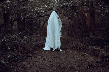 A horror concept of a ghost with a sheet. Standing in a dark spooky forest.