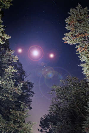 UFO concept. Glowing orbs, floating above trees in the night sky. With a vertical edit.