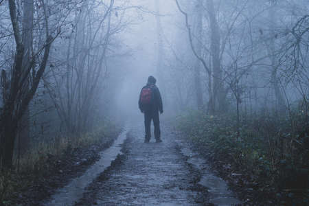 A hiker standing in a spooky forest. On a eerie, foggy winters dayの写真素材
