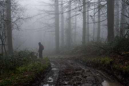A horror concept of a hiker looking into a forest on a spooky, foggy, winters dayの写真素材