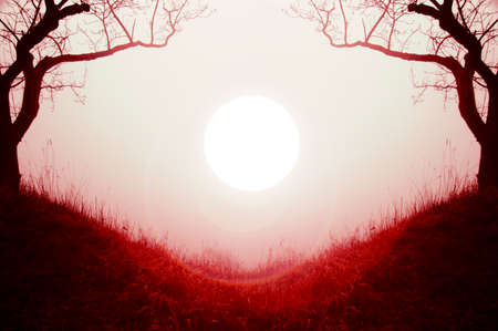 A bright red glowing ball of light. Floating above the ground in the countryside in winter. Framed by two trees.の写真素材