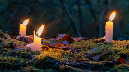 Three candles on a moss covered tree trunk in a forest in autumn on a dark evening.の写真素材