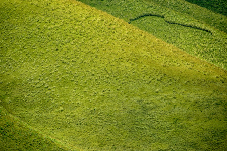 Green prairie and meadow landscape. Taken at Bromo Mountain, Tengger, east Java, Indonesiaの写真素材