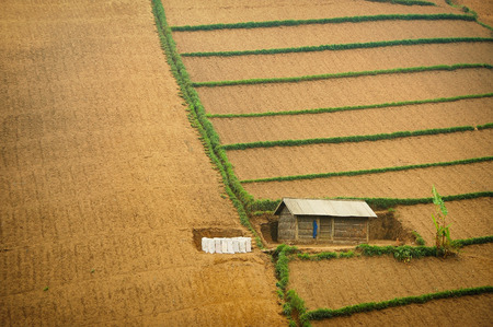 Single house on cultivated land. Taken at Bromo Tengger, east Java, Indonesiaのeditorial素材