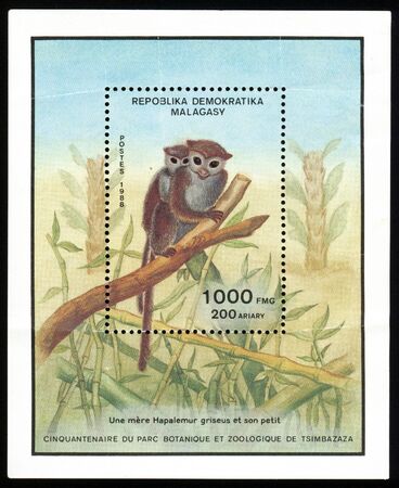 Vintage antique postage stamps from Madagascarの写真素材