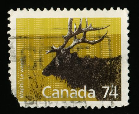 Vintage antique postage stamp from Canadaの写真素材
