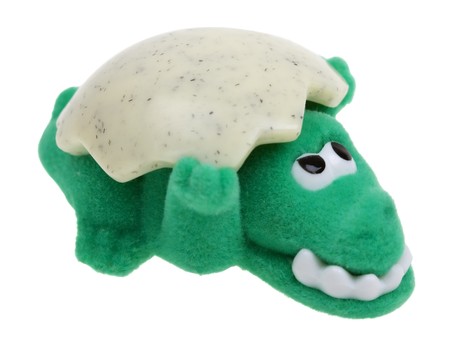 funny green crocodile toy with shell on white backgroundの写真素材