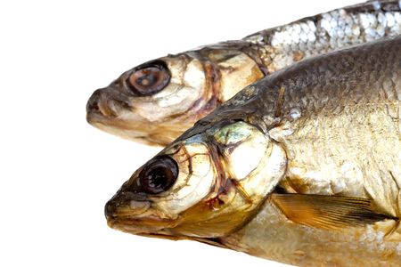 Close-up dried fish isolated on white background
