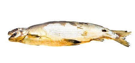 Close-up dried fish isolated on white backgroundの写真素材
