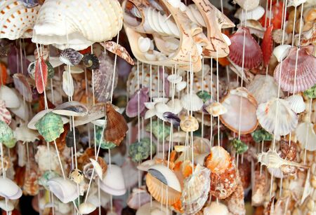 Shaped shell curtain hanging to background