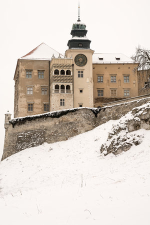Castle in winter (Poland)のeditorial素材