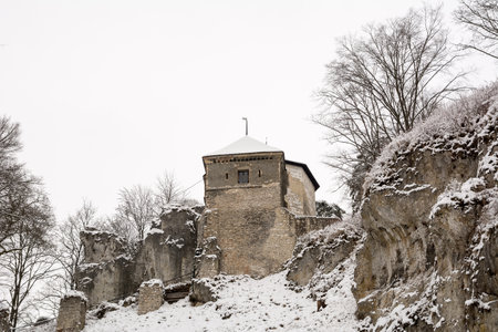 Castle in Ojcow (Poland)のeditorial素材