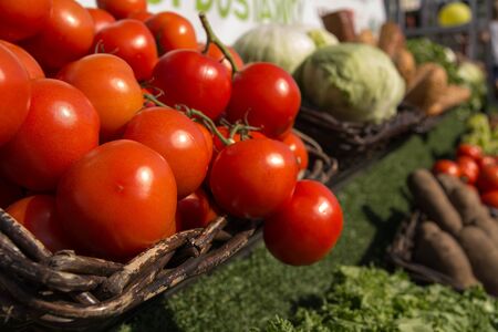 tomatoesの写真素材