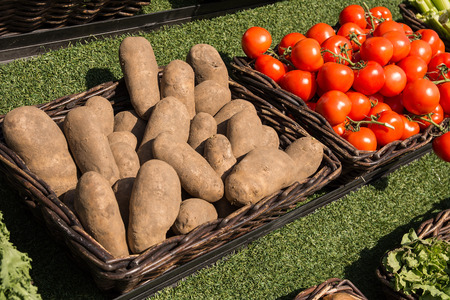 Potatoes and tomatoes in the basketの写真素材
