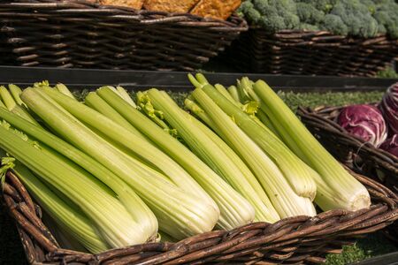 Vegetables in the basketの写真素材