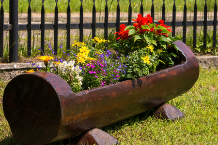 Flowers in the wooden potの写真素材