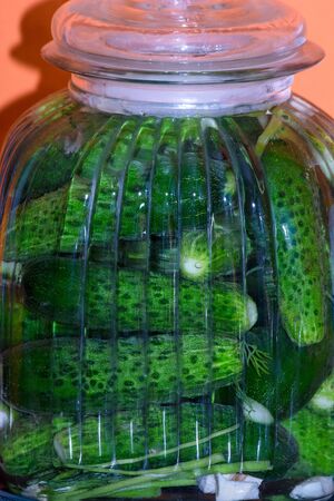 pickled cucumbersの写真素材