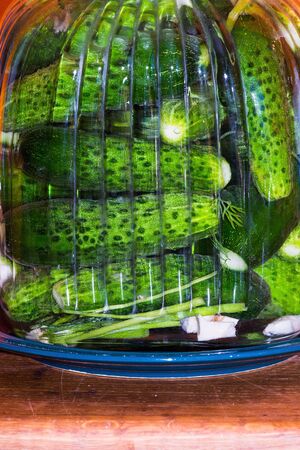 pickled cucumbersの写真素材