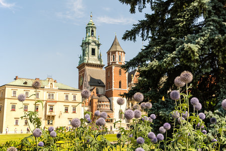 Wawel Cathedral at Wawel Castle in Krakow (Poland)のeditorial素材