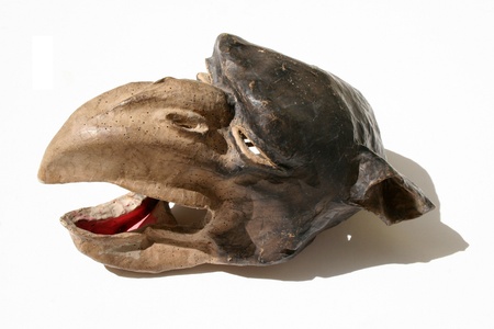 gargoyle maskの写真素材