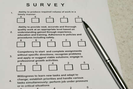 Performance Survey 