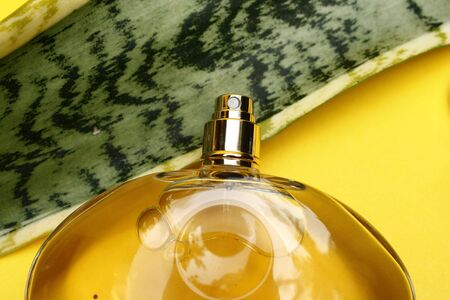 Fragrances Iの写真素材