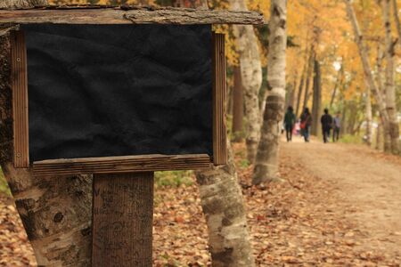 Black poster Wooden Frame during autumn in Nami Island Koreaの写真素材