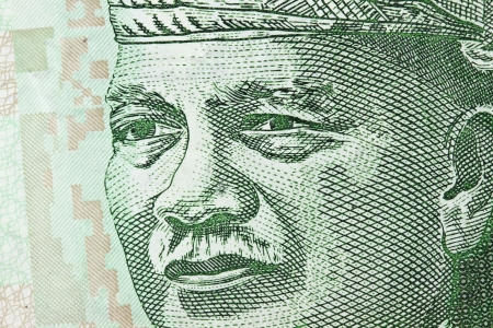Malaysian ringit currency macro shot focus on the eye.