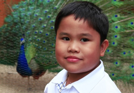 A boy portraiture and a peacock background.の写真素材