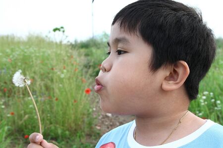Beautiful boy blowing dandelion during summer in Korea.の写真素材