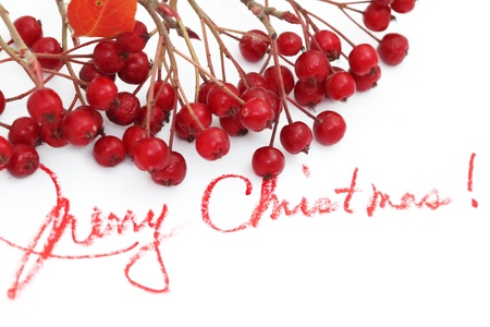 christmas background with berries and text of merry christmasの写真素材