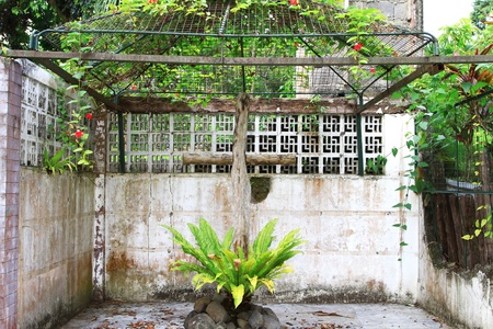 Country garden with wood cross and vine with red flowers.の写真素材