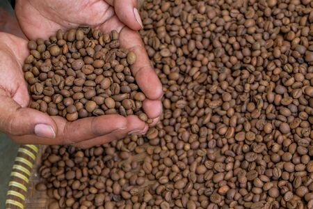 roasted green bean coffeeの写真素材