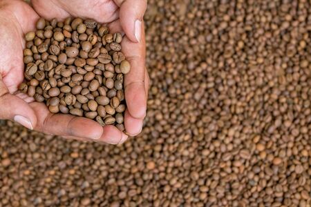 roasted green bean coffeeの写真素材