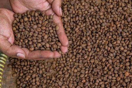 roasted green bean coffeeの写真素材