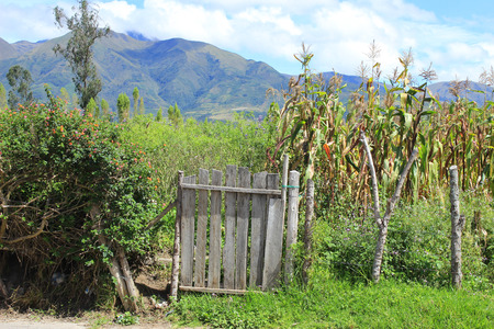 A wood gate in a barbed wire fence in a farmers field in Cotacachi, Ecuadorの写真素材