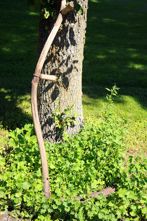 A vintage scythe leaning against a tree on a farmyard in Altona Manitoba Canadaの写真素材