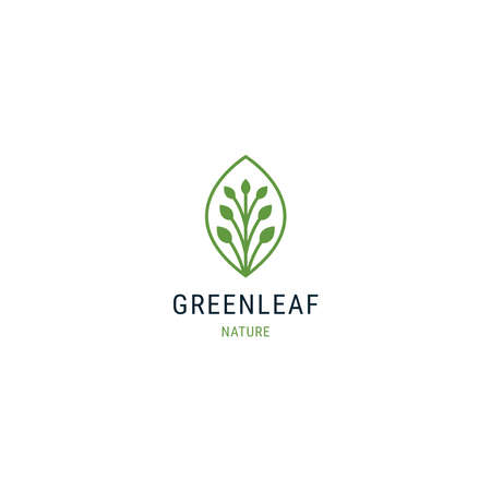 Green leaf line design templateのイラスト素材