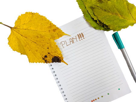 business concept plan idea with notebook over dry foliage leaf isolated on white backgroundの写真素材