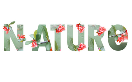 Floral letters NATURE text. The letters N, A, T, U, R, E are made from flower photos. A collection of wonderful flora letters for unique spring decorations and various creation ideas.の写真素材