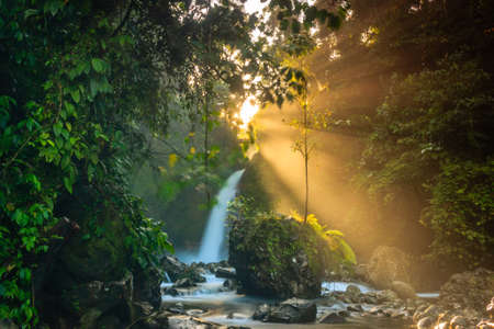 panoramic view of the morning with mountains and rice terraces lineの写真素材