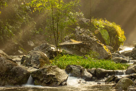 the sun that shines between the streams of water and the small tree in the river