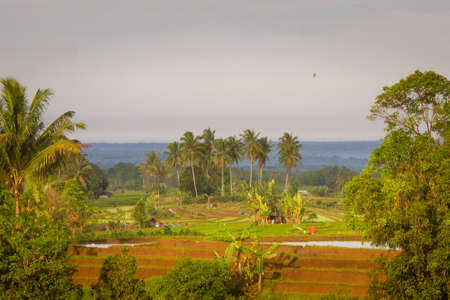 scenery in a small village with green rice fields and mountains in Indonesiaの写真素材