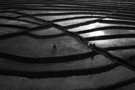 Beautiful morning view indonesia. Panorama Landscape paddy fields with beauty color and sky natural lightの写真素材