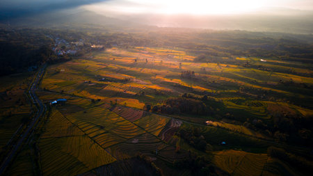 Beautiful morning view indonesia Panorama Landscape paddy fields with beauty color and sky natural...