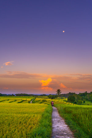 aerial view beautiful morning view from Indonesia about mountain and forestの写真素材