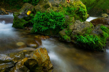 Beautiful morning view indonesia Panorama Landscape paddy fields with beauty color and sky natural lightの写真素材
