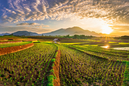beautiful morning view from Indonesia of mountains and tropical forest