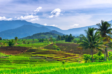 beautiful morning view from Indonesia of mountains and tropical forest